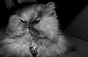 puffy